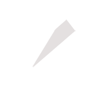 龙岩临时保镖服务